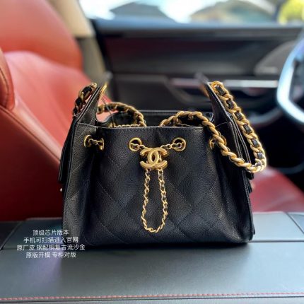 Chanel 25 Mini Hobo Bag
